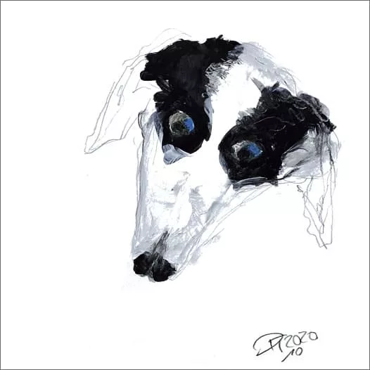 Hundekopf,Zeichnung, Kunst